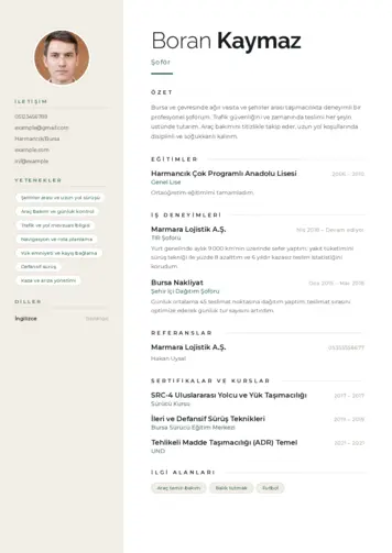  cv indir
